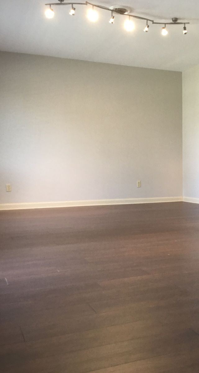 Living room in Unit 204 with dark wood-look flooring and track lighting